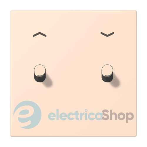 Накладка 1-п. для выключателя с 2-ма тумблерами «цилиндр» со стрелками JUNG LC12-5PR0228 rose pâle (32091)