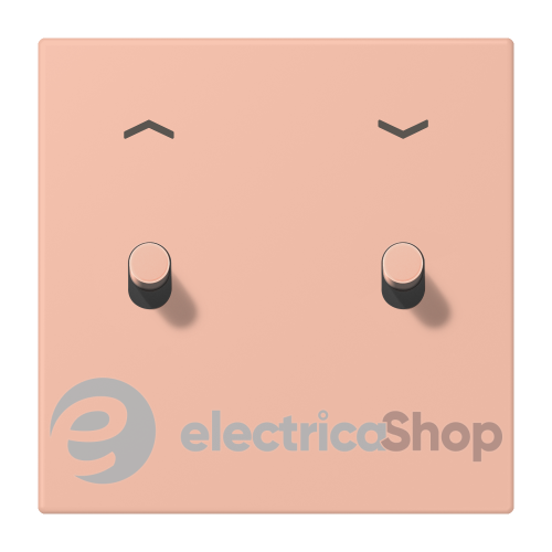 Накладка 1-п. для выключателя с 2-ма тумблерами «цилиндр» со стрелками JUNG LC12-5PR0231 rose clair (32102)