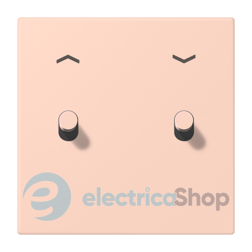 Накладка 1-п. для выключателя с 2-ма тумблерами «цилиндр» со стрелками JUNG LC12-5PR0234 l’ocre rouge clair (32112)