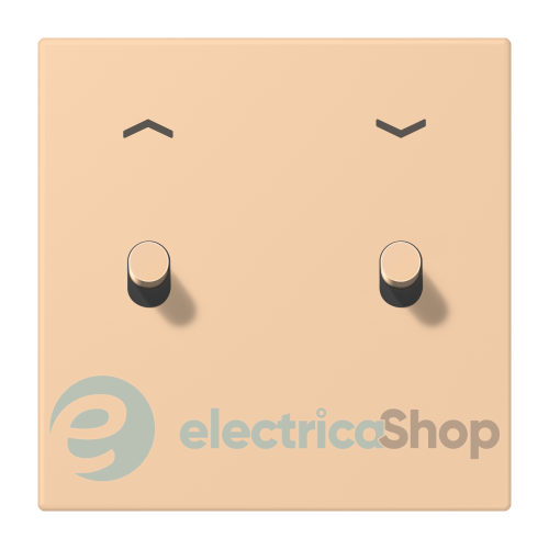 Накладка 1-п. для выключателя с 2-ма тумблерами «цилиндр» со стрелками JUNG LC12-5PR0237 terre sienne claire 31 (32122)