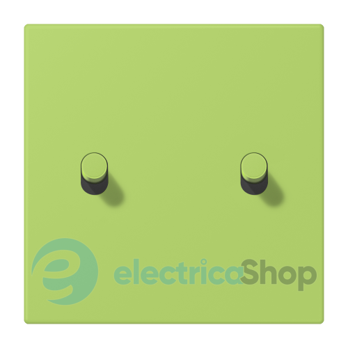 Накладка 1-п. для выключателя с 2-ма тумблерами «цилиндр» JUNG LC12-5R0221 vert clair (32052)