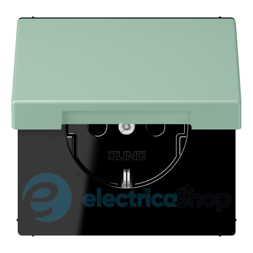 Розетка із з/к 250V/16A з кришкою, пруж.затиск JUNG LC1520BFKL217 vert anglais clair (32041)