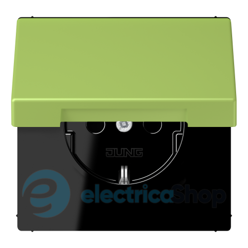 Розетка с з/к 250V/16A с крышкой, пруж.зажим JUNG LC1520BFKL221 vert clair (32052)