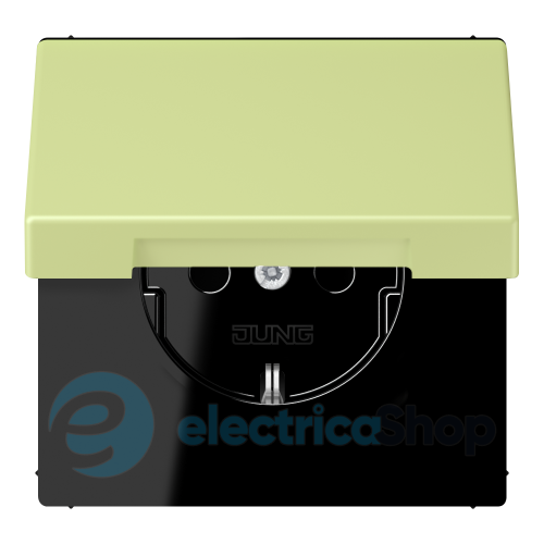 Розетка с з/к 250V/16A с крышкой, пруж.зажим JUNG LC1520BFKL222 vert jaune clair (32053)