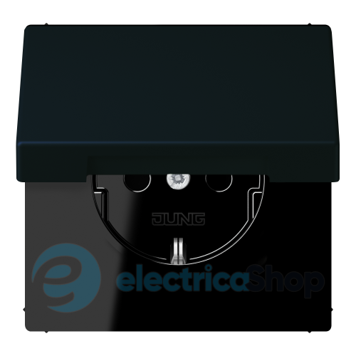 Розетка із з/к 250V/16A з кришкою, пруж.затиск JUNG LC1520BFKL248 noir d'ivoire (4320E)