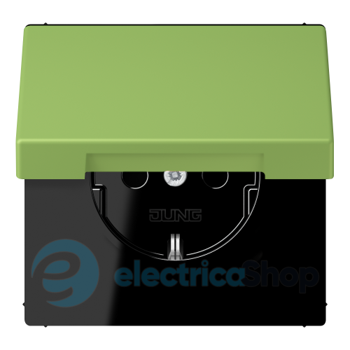 Розетка с з/к 250V/16A с крышкой, шторки, винт.зажим JUNG LC1521BFKIKL220 vert 31 (32051)