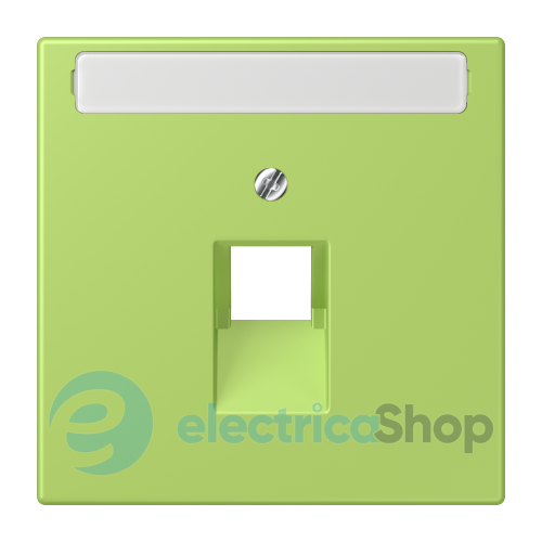 Накладка для компьютерной розетки UAE с полем для надписи JUNG LC969-1NAUA221 vert clair (32052)