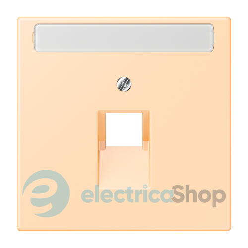Накладка для компьютерной розетки UAE с полем для надписи JUNG LC969-1NAUA223 ocre (32060)