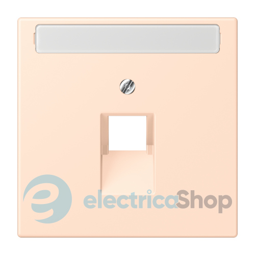 Накладка для компьютерной розетки UAE с полем для надписи JUNG LC969-1NAUA228 rose pâle (32091)