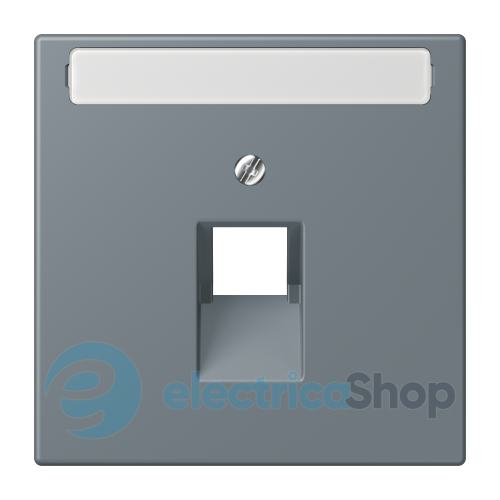 Накладка для компьютерной розетки UAE с полем для надписи JUNG LC969-1NAUA251 gris 59 (4320H)