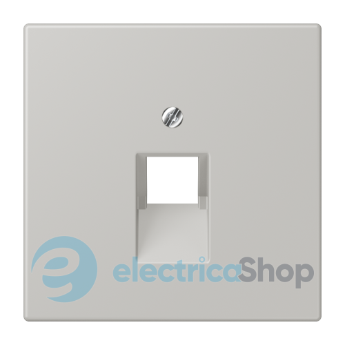 Накладка для комп'ютерної розетки UAE JUNG LC969-1UA205 gris clair 31 (32013)