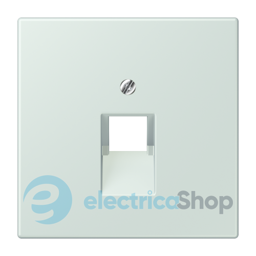 Накладка для компьютерной розетки UAE JUNG LC969-1UA215 céruléen pâle (32034)