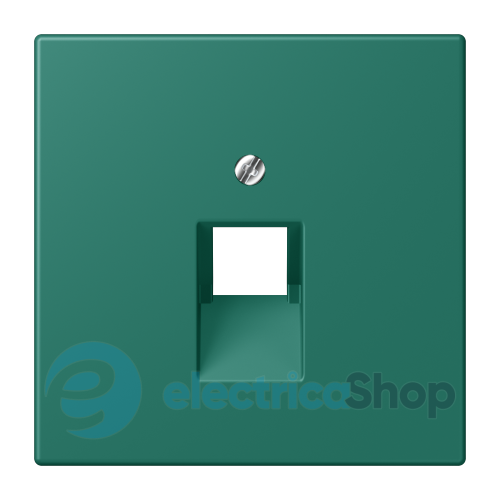 Накладка для компьютерной розетки UAE JUNG LC969-1UA216 vert anglais (32040)