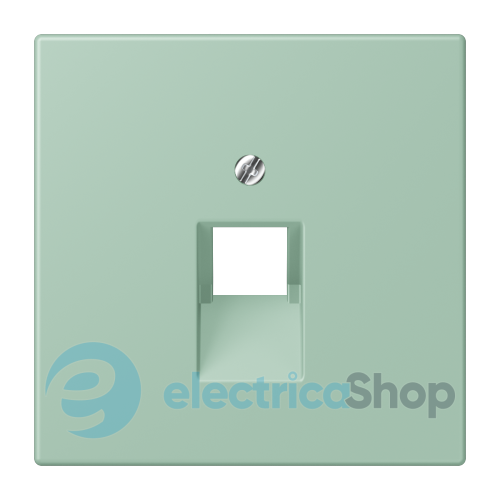 Накладка для компьютерной розетки UAE JUNG LC969-1UA217 vert anglais clair (32041)