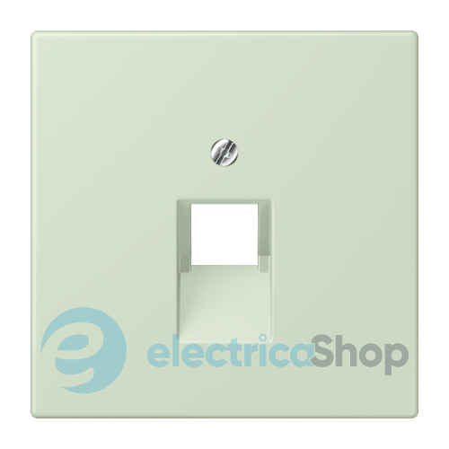 Накладка для компьютерной розетки UAE JUNG LC969-1UA218 vert anglais pâle (32042)