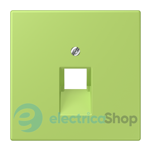 Накладка для компьютерной розетки UAE JUNG LC969-1UA221 vert clair (32052)