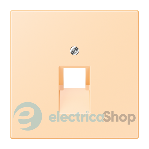 Накладка для компьютерной розетки UAE JUNG LC969-1UA223 ocre (32060)