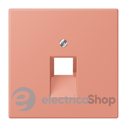 Накладка для компьютерной розетки UAE JUNG LC969-1UA233 l’ocre rouge moyen (32111)