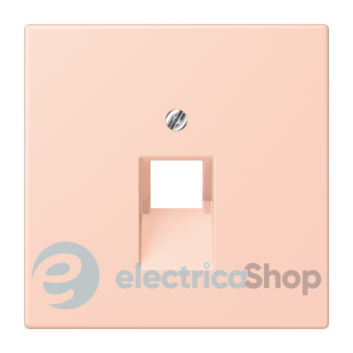 Накладка для компьютерной розетки UAE JUNG LC969-1UA234 l’ocre rouge clair (32112)
