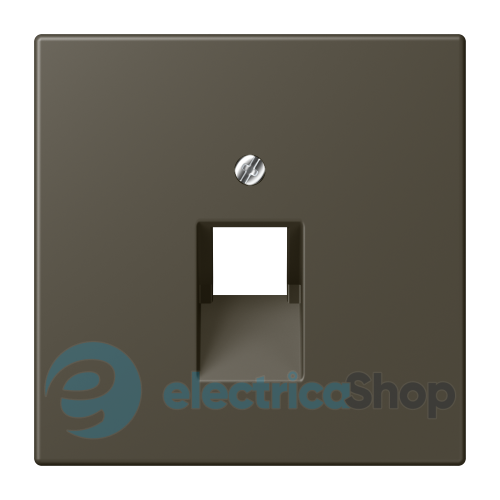 Накладка для комп'ютерної розетки UAE JUNG LC969-1UA241 ombre naturelle 31 (32140)