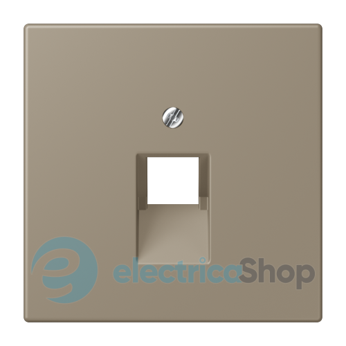 Накладка для комп'ютерної розетки UAE JUNG LC969-1UA242 ombre naturelle moyenne (32141)