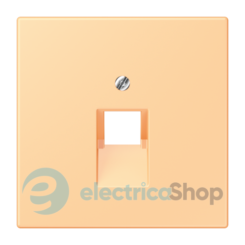 Накладка для компьютерной розетки UAE JUNG LC969-1UA258 terre sienne claire 59 (4320P)