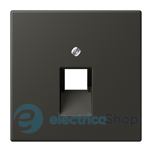 Накладка для компьютерной розетки UAE JUNG LC969-1UA259 ombre naturelle 59 (4320R)