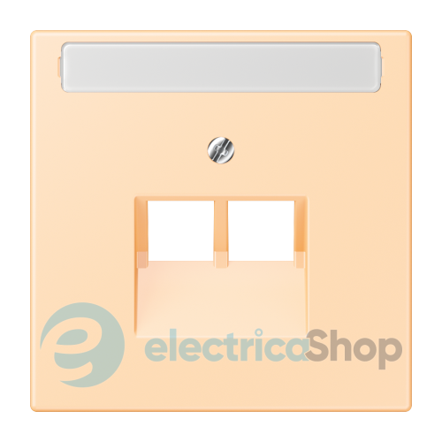 Накладка для 2-й. компьютерной розетки UAE с полем для надписи JUNG LC969-2NAUA223 ocre (32060)