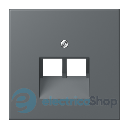 Накладка для 2-й. компьютерной розетки UAE JUNG LC969-2UA202 gris foncé 31 (32010)
