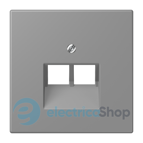 Накладка для 2-ї. комп'ютерної розетки UAE JUNG LC969-2UA203 gris 31 (32011)