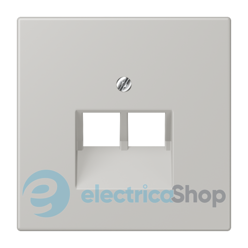 Накладка для 2-ї. комп'ютерної розетки UAE JUNG LC969-2UA205 gris clair 31 (32013)