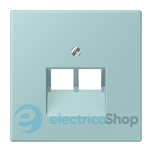 Накладка для 2-й. компьютерной розетки UAE JUNG LC969-2UA214 céruléen clair (32033)