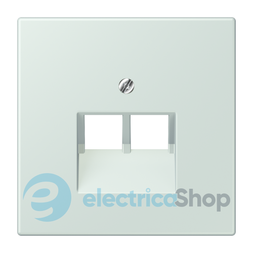 Накладка для 2-й. компьютерной розетки UAE JUNG LC969-2UA215 céruléen pâle (32034)