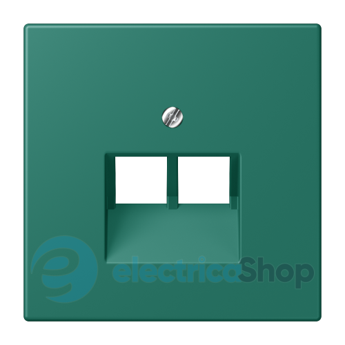 Накладка для 2-ї. комп'ютерної розетки UAE JUNG LC969-2UA216 vert anglais (32040)