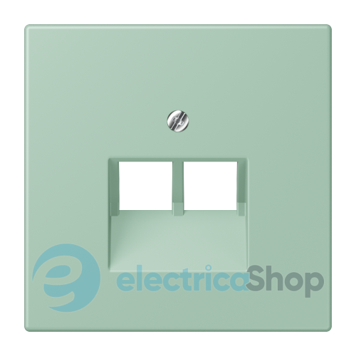 Накладка для 2-й. компьютерной розетки UAE JUNG LC969-2UA217 vert anglais clair (32041)