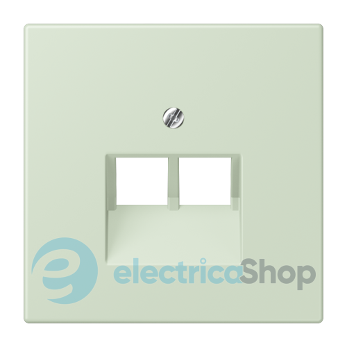 Накладка для 2-й. компьютерной розетки UAE JUNG LC969-2UA218 vert anglais pâle (32042)