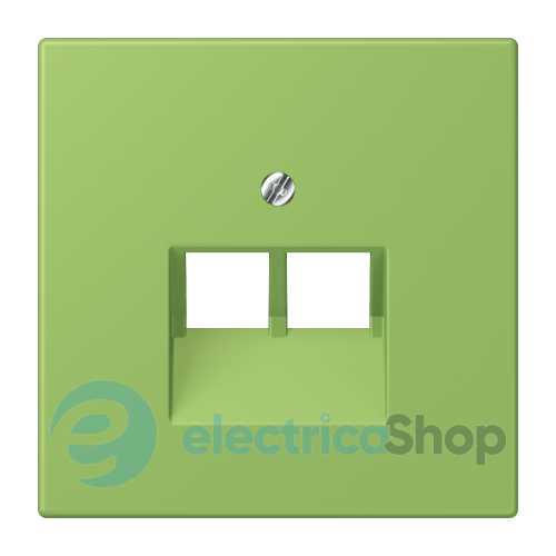 Накладка для 2-й. компьютерной розетки UAE JUNG LC969-2UA220 vert 31 (32051)