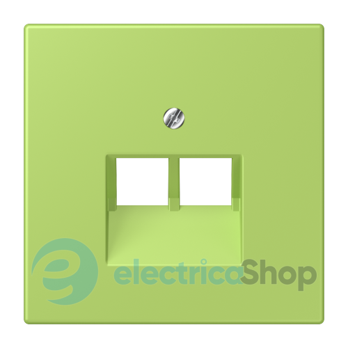 Накладка для 2-й. компьютерной розетки UAE JUNG LC969-2UA221 vert clair (32052)