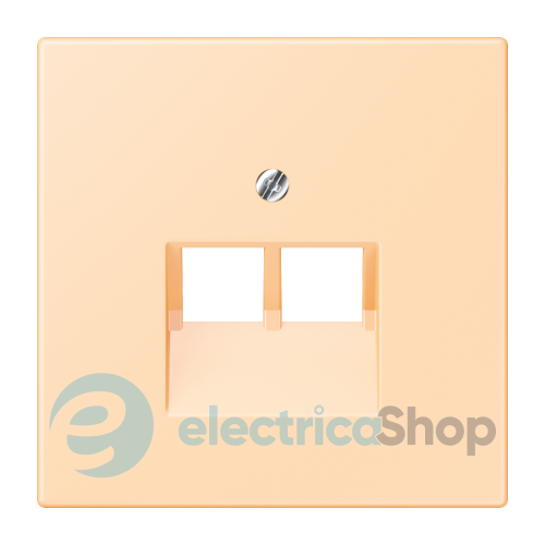Накладка для 2-й. компьютерной розетки UAE JUNG LC969-2UA223 ocre (32060)