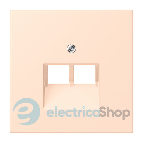 Накладка для 2-й. компьютерной розетки UAE JUNG LC969-2UA228 rose pâle (32091)