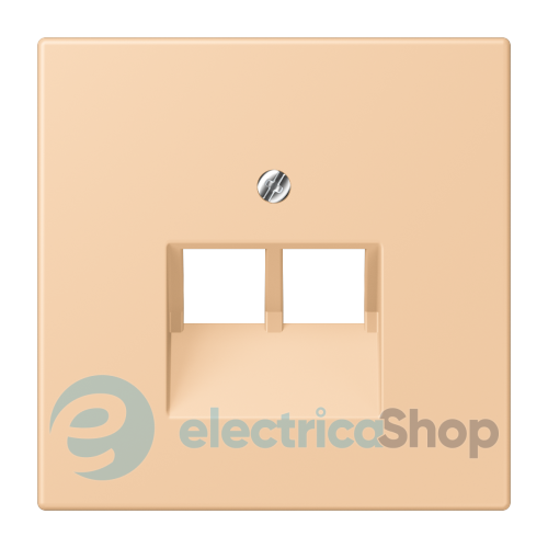 Накладка для 2-й. компьютерной розетки UAE JUNG LC969-2UA237 terre sienne claire 31 (32122)