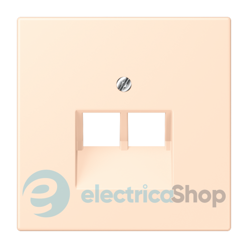 Накладка для 2-й. компьютерной розетки UAE JUNG LC969-2UA238 terre sienne pâle (32123)