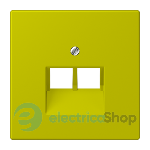 Накладка для 2-й. компьютерной розетки UAE JUNG LC969-2UA249 vert olive vif (4320F)