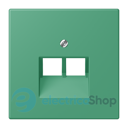 Накладка для 2-й. компьютерной розетки UAE JUNG LC969-2UA250 vert 59 (4320G)