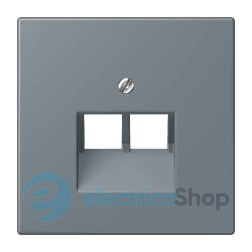 Накладка для 2-й. компьютерной розетки UAE JUNG LC969-2UA251 gris 59 (4320H)