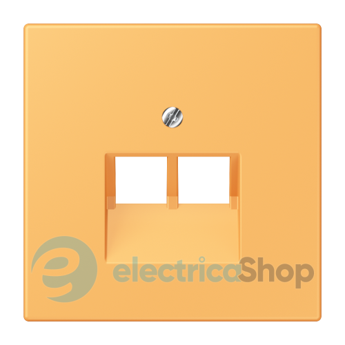 Накладка для 2-й. компьютерной розетки UAE JUNG LC969-2UA254 ocre jaune clair (4320L)