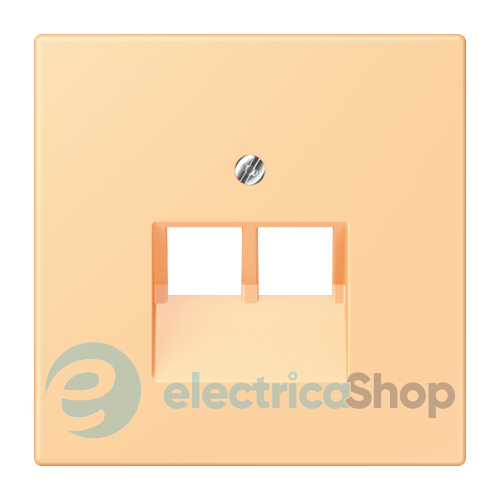 Накладка для 2-й. компьютерной розетки UAE JUNG LC969-2UA258 terre sienne claire 59 (4320P)