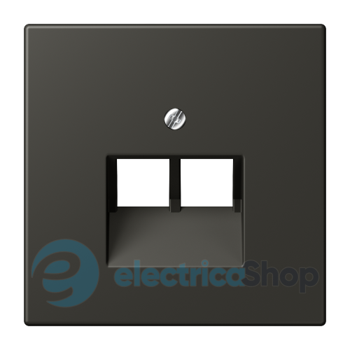 Накладка для 2-ї. комп'ютерної розетки UAE JUNG LC969-2UA259 ombre naturelle 59 (4320R)