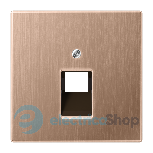 Накладка для комп'ютерної розетки UAE Jung BRG2969-1UA матова бронза
