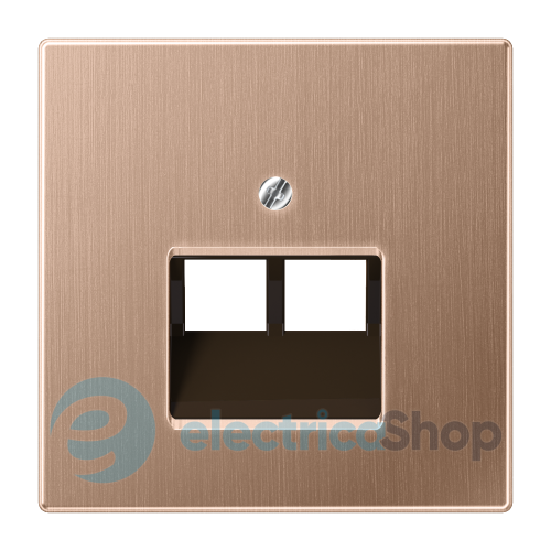 Накладка для подвійної комп'ютерної розетки UAE Jung BRG2969-2UA матова бронза